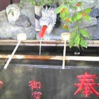 登渡神社の写真3