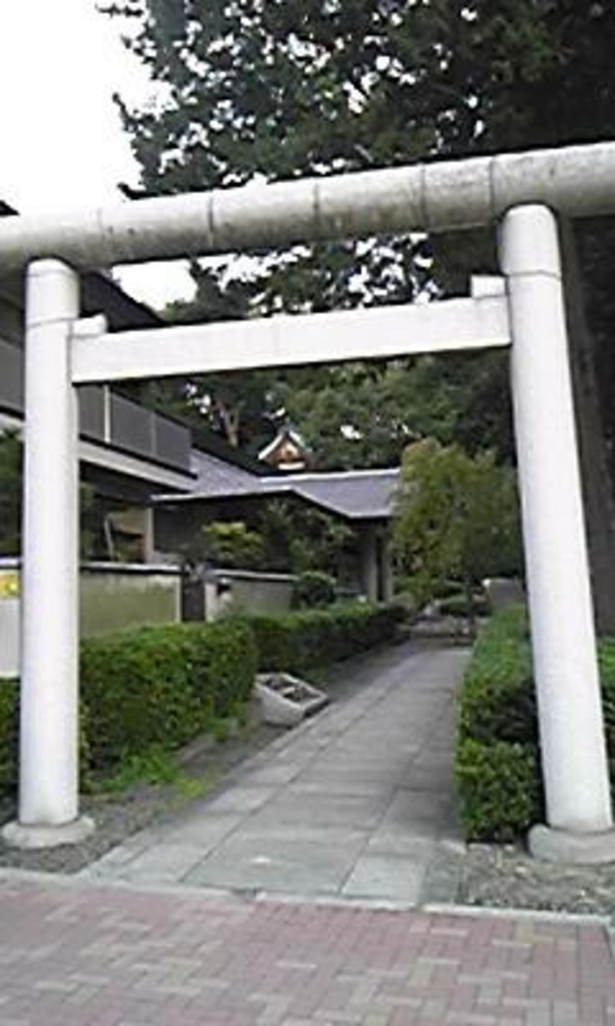 中野氷川神社の代表写真8