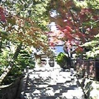 登渡神社の写真2