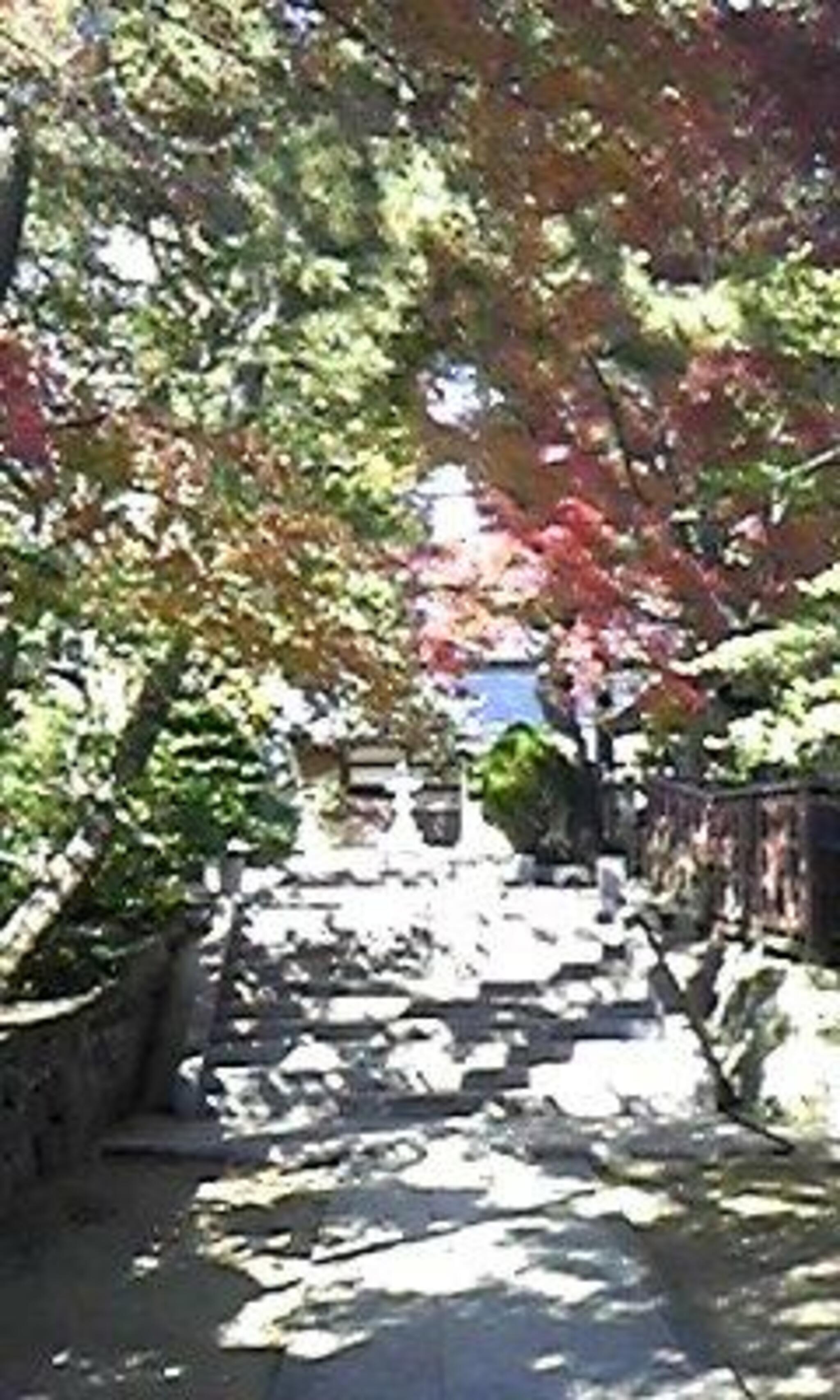 登渡神社の代表写真2