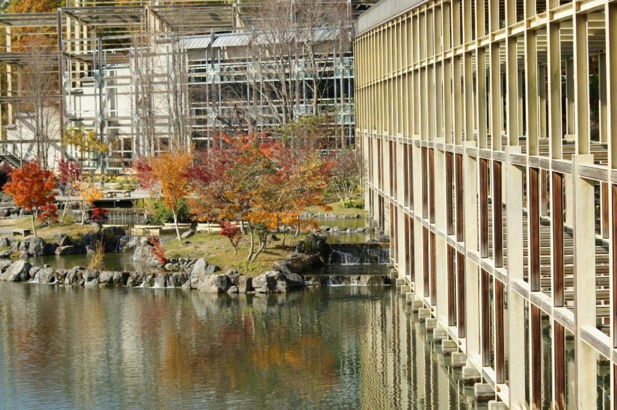 京都府立関西文化学術研究都市記念公園(けいはんな記念公園)の代表写真4