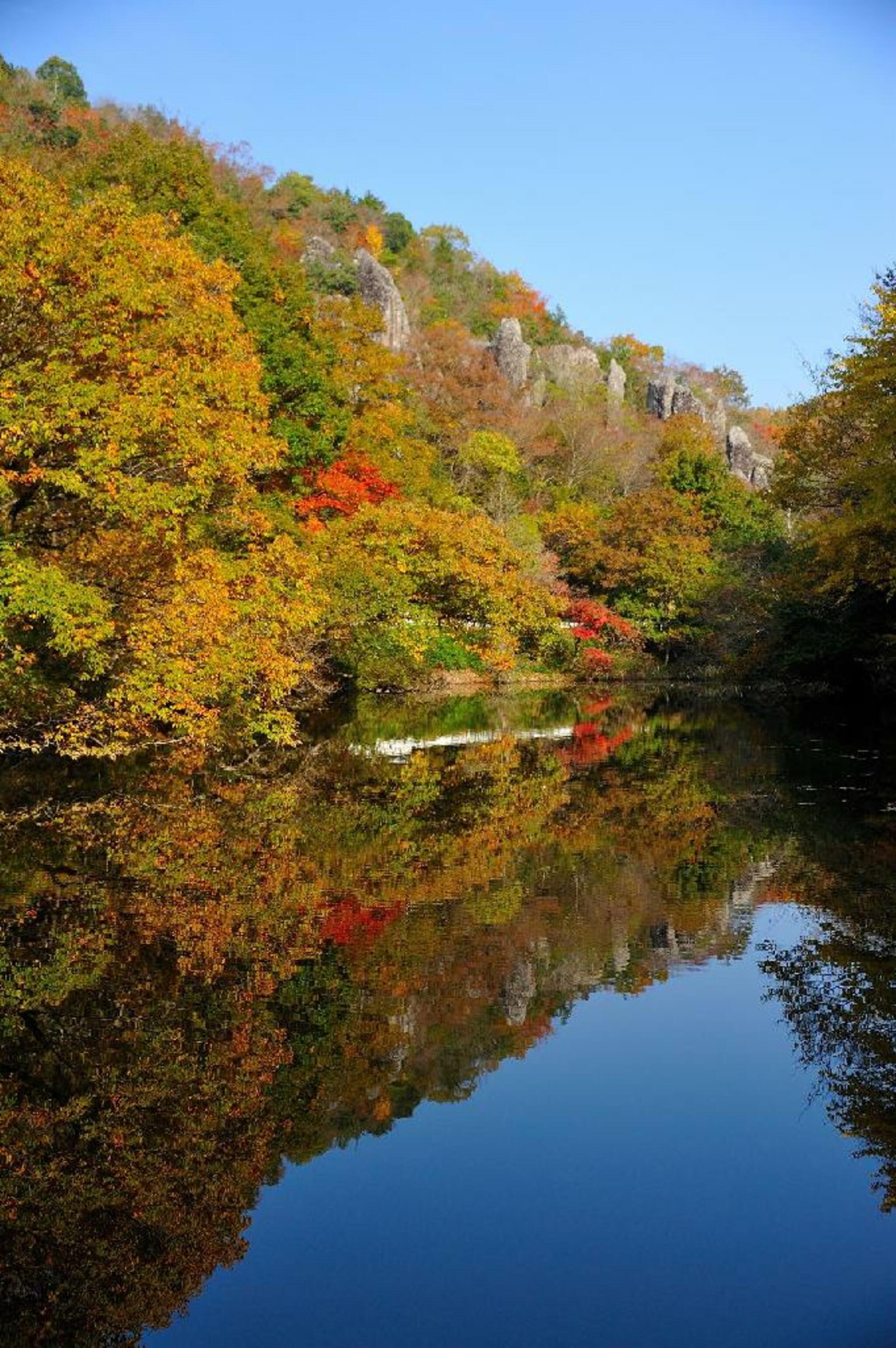 立羽田の景の代表写真2