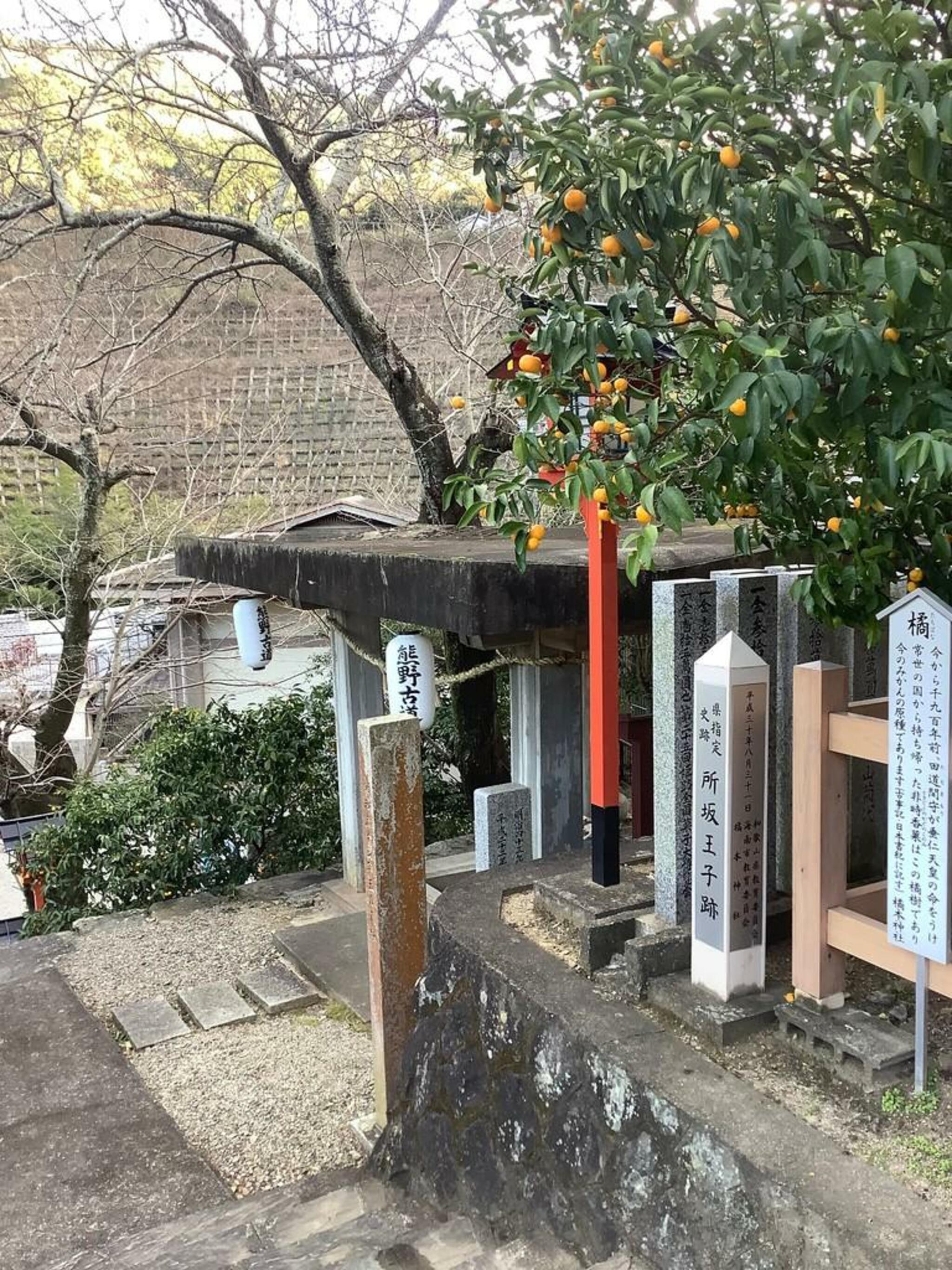 橘本神社の代表写真7
