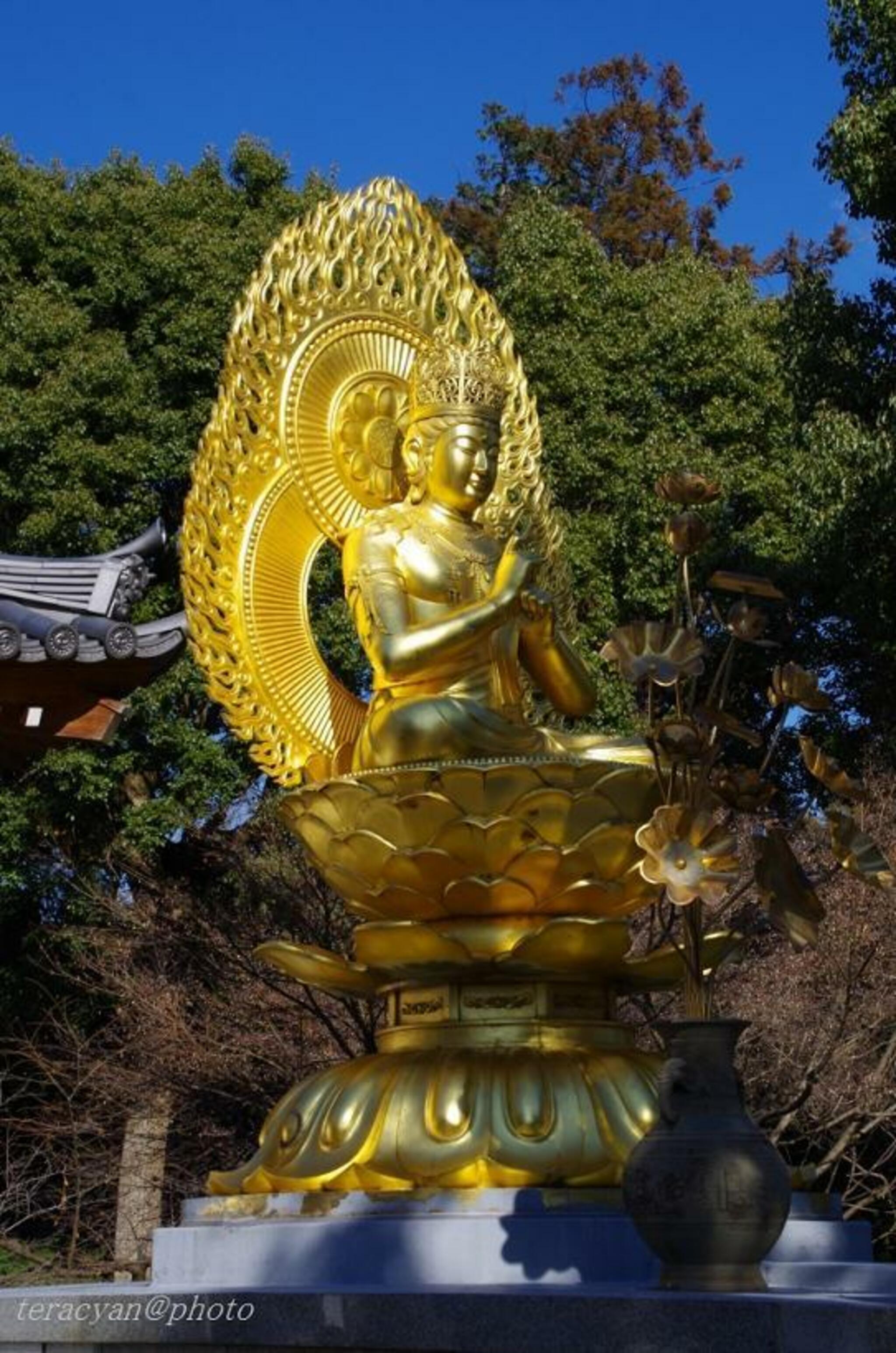 久米寺の代表写真2