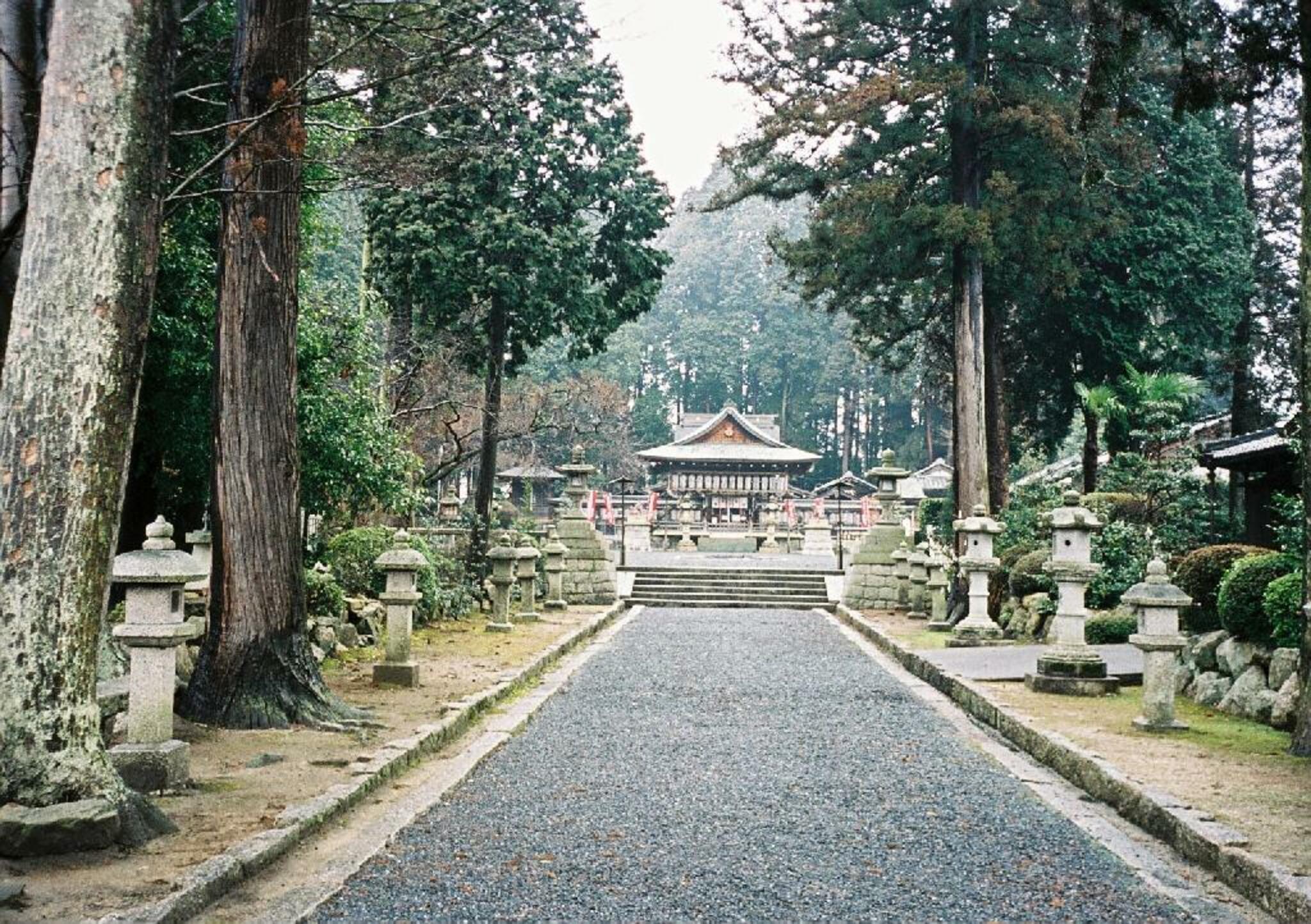 新宮神社の代表写真2