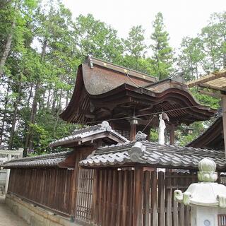 新宮神社の写真4