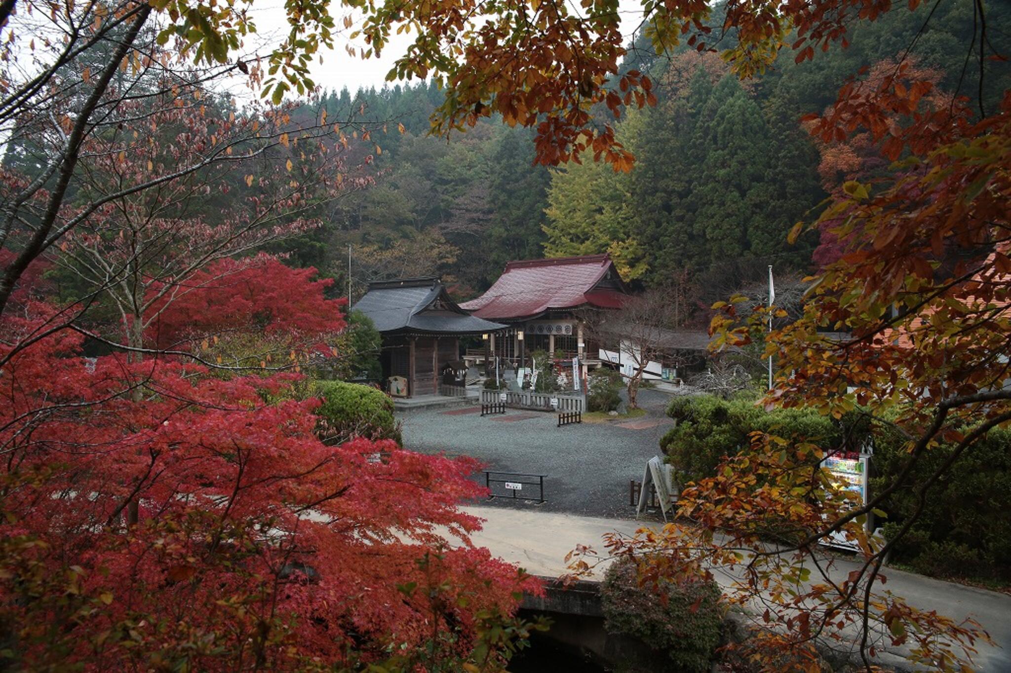 青麻神社の代表写真1