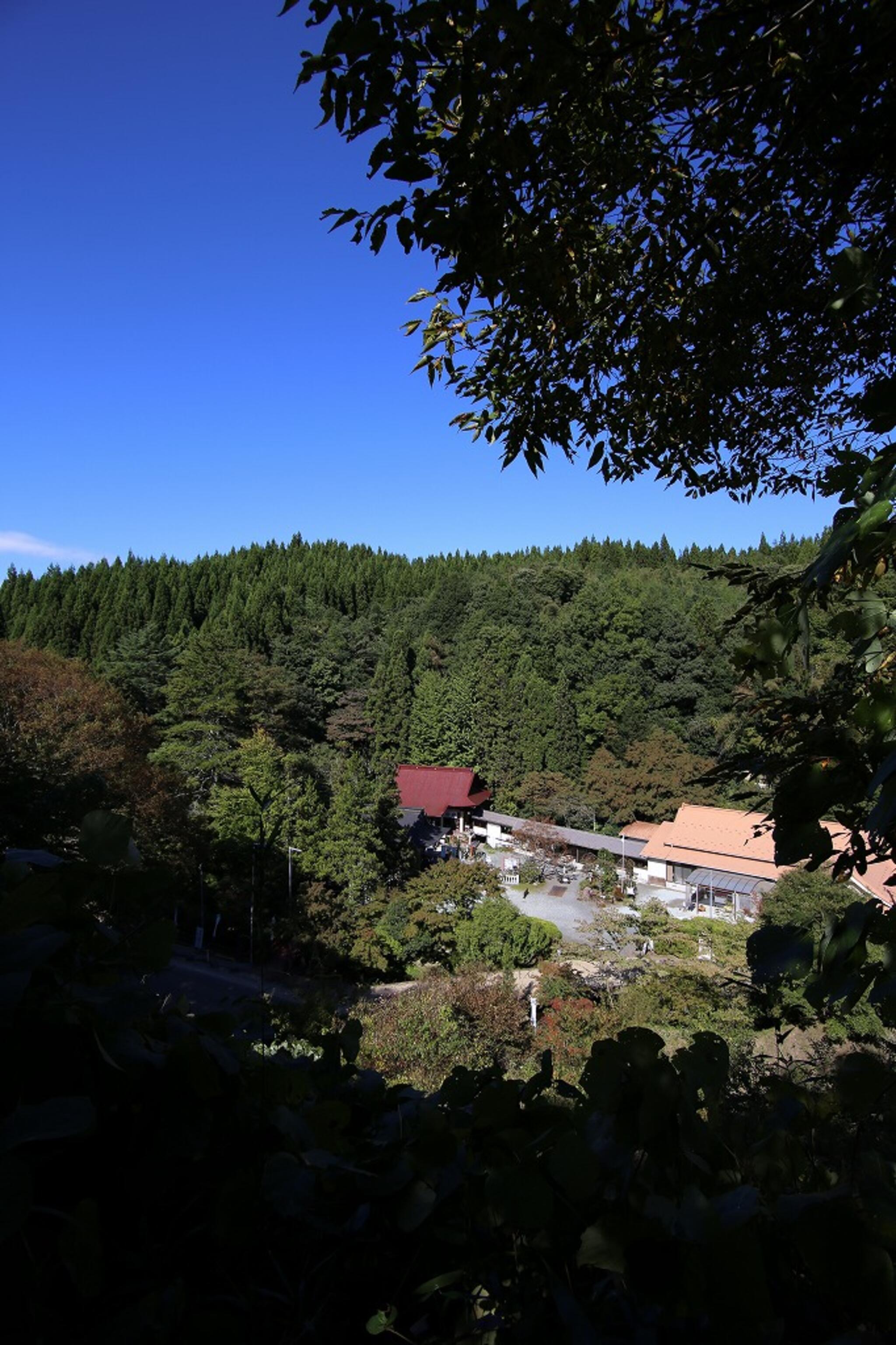 青麻神社の代表写真8