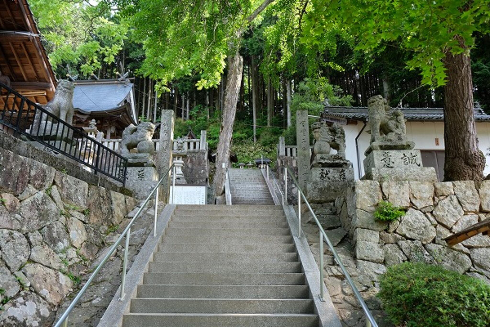 八幡神社の代表写真2