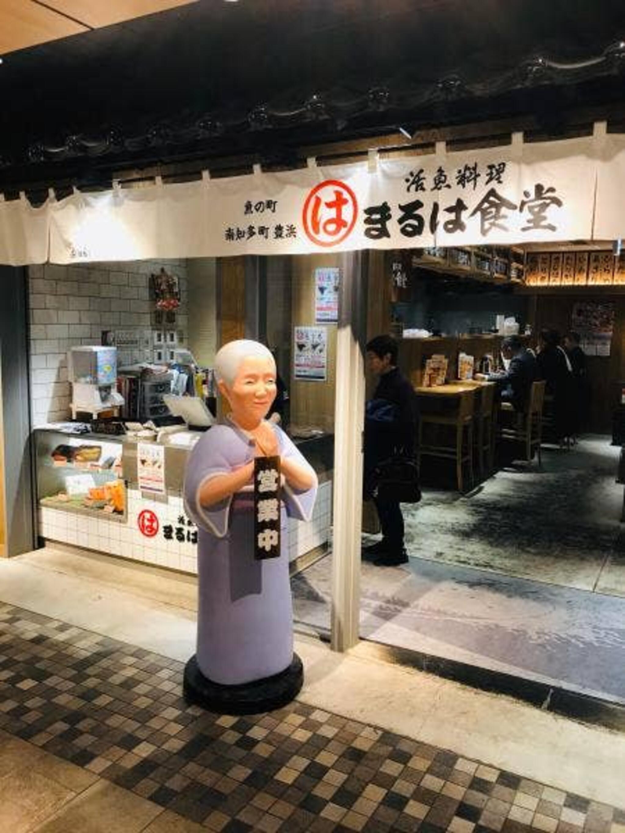 まるは食堂 JR名古屋駅店の代表写真8