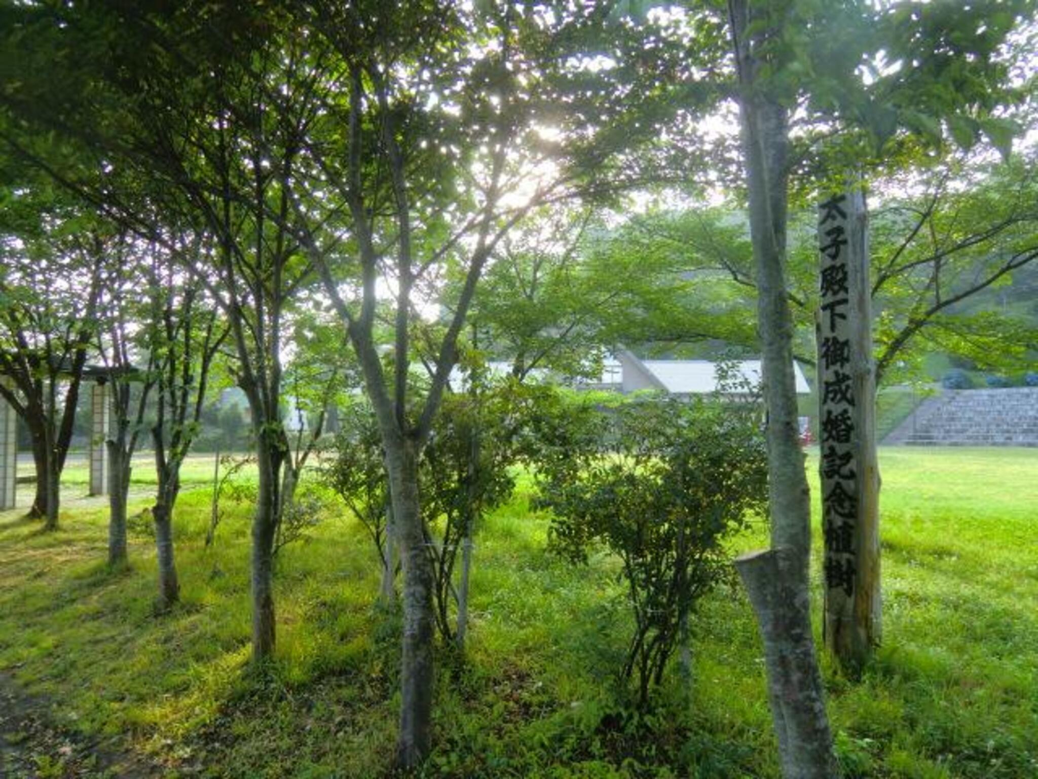 愛宕公園 - 上北郡野辺地町字寺ノ沢/公園 | Yahoo!マップ