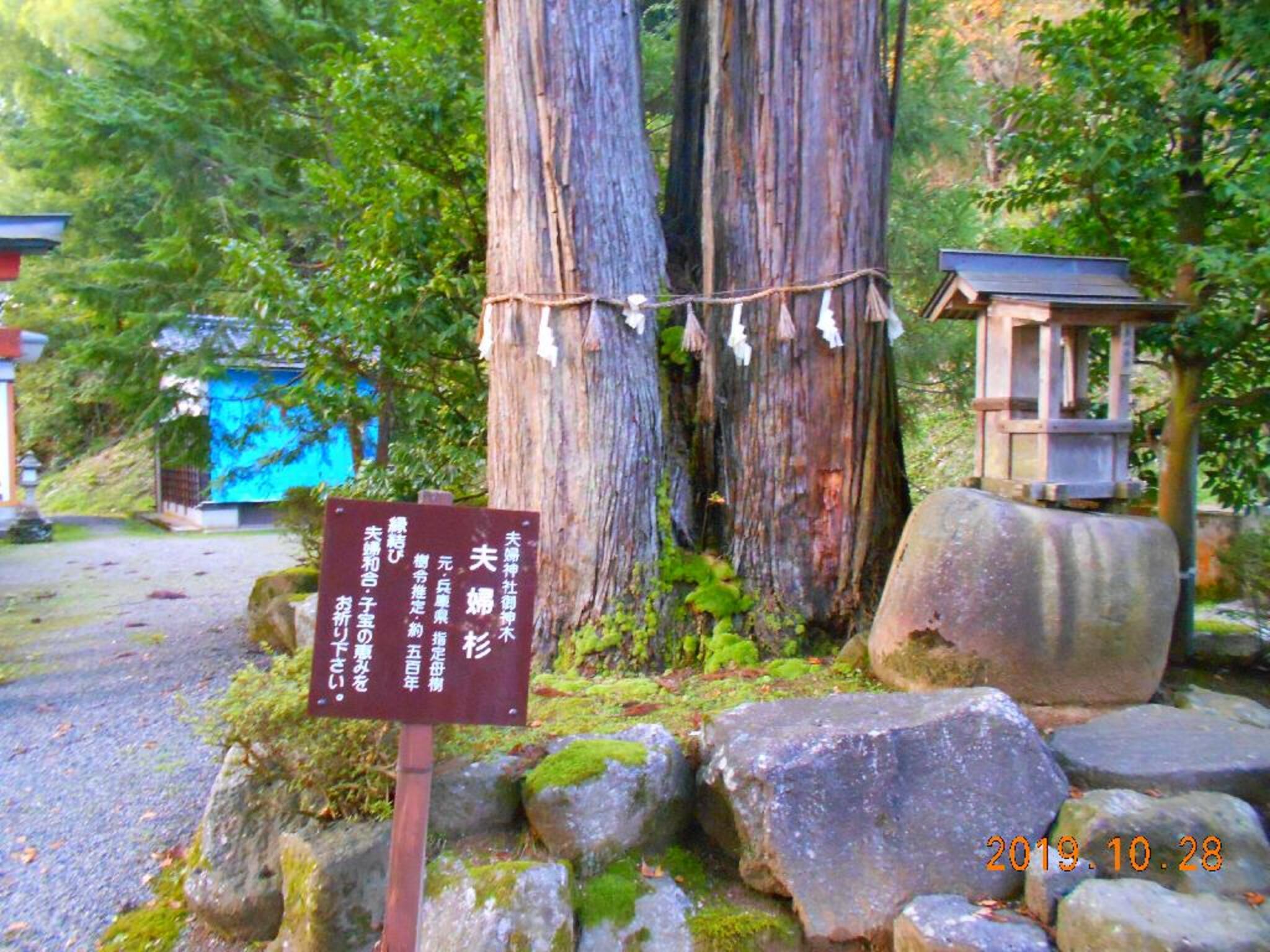 八幡神社の代表写真5