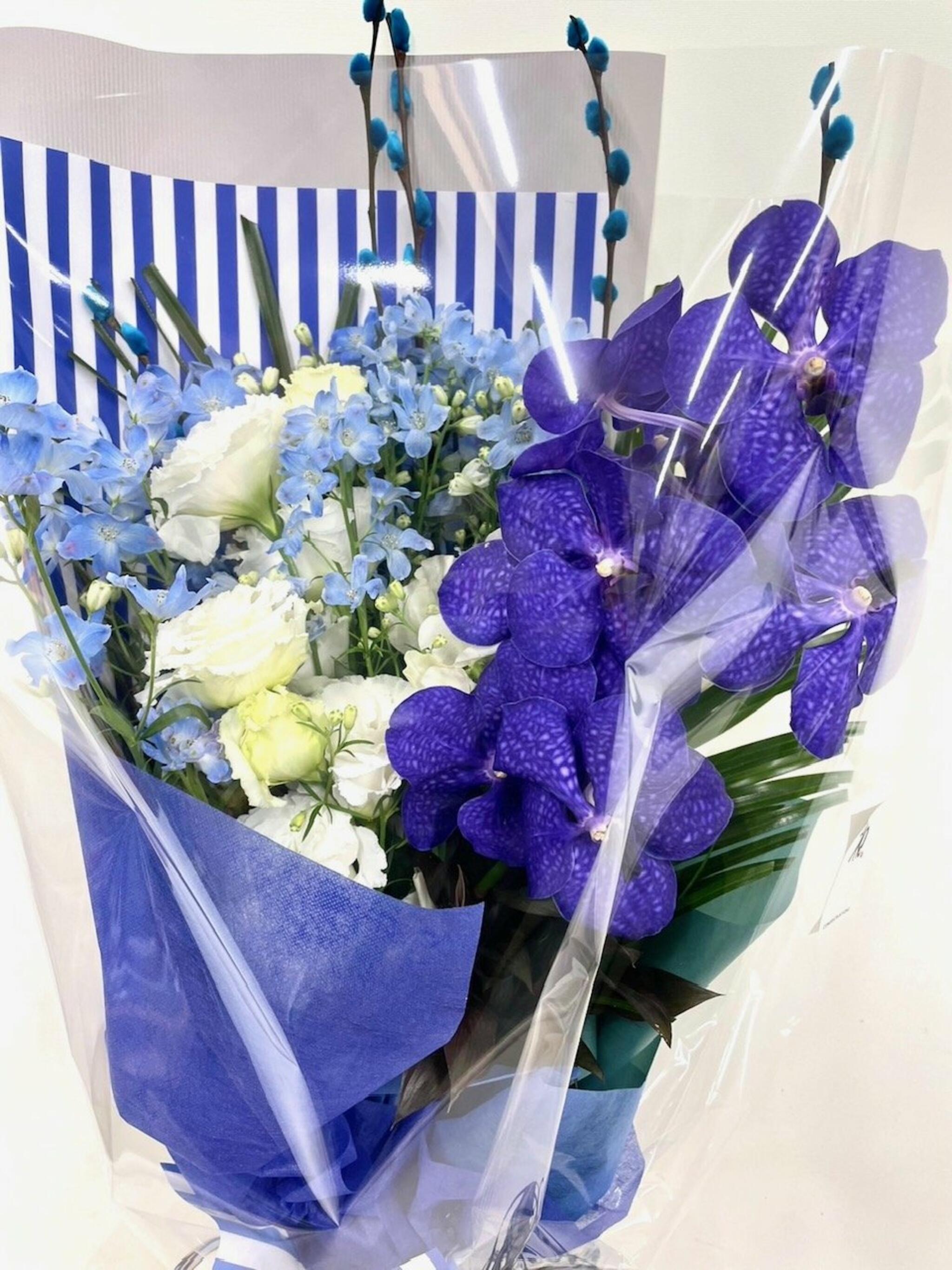 花処　彩季舎からのお知らせ(青いお花たち)に関する写真