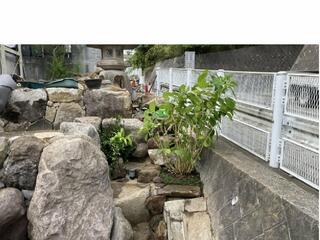 庭和からのお知らせ(植栽。横浜の庭屋さん庭和)に関する写真