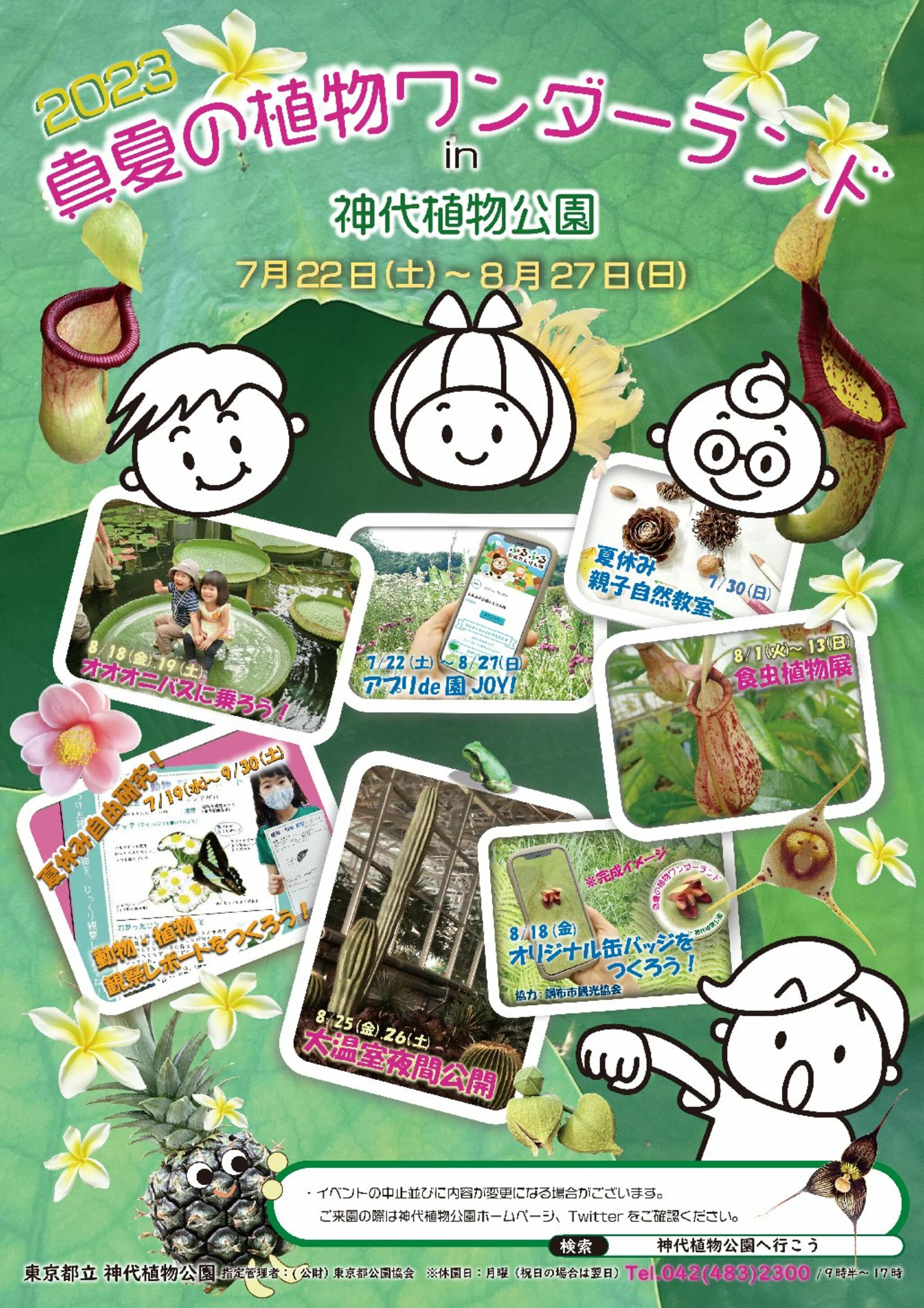 神代植物公園からのお知らせ(７/22(土)～８/27(日)「真夏の植物ワンダーランド㏌神代植物公園」を開催中！)に関する写真