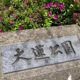 大蓮公園のクチコミ写真1