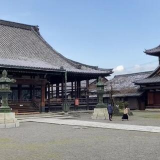 長浜別院 大通寺のクチコミ写真1