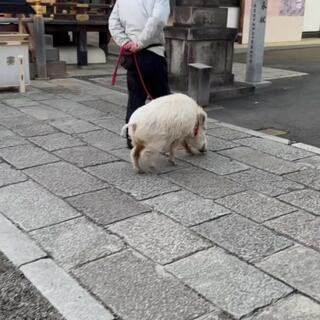 護王神社のクチコミ写真1