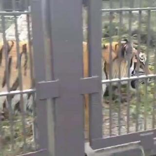 宇都宮動物園のクチコミ写真1