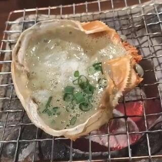 ネオ炉端 道南農林水産部 錦本店のクチコミ写真2