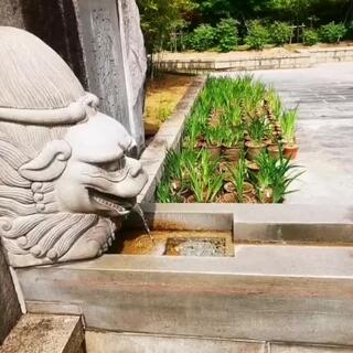 大仙公園日本庭園のクチコミ写真1