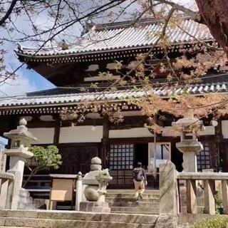 温泉寺・湯泉神社のクチコミ写真1