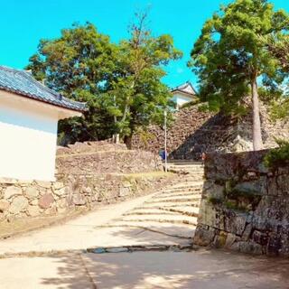 彦根城のクチコミ写真6