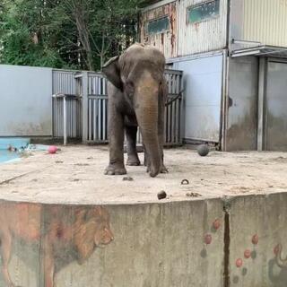 宇都宮動物園のクチコミ写真1