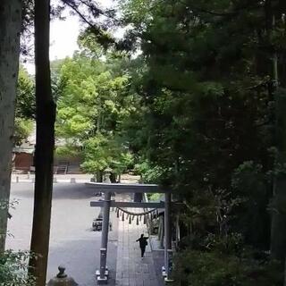 相馬中村神社のクチコミ写真1