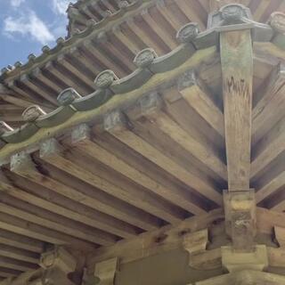 歴史公園鞠智城のクチコミ写真2