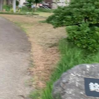 銘苅かりゆし公園のクチコミ写真1