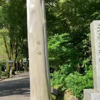 天岩戸神社 西本宮一ノ鳥居のクチコミ写真1