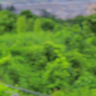 卯辰山公園のクチコミ写真1