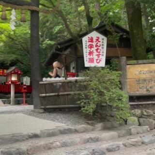 野宮神社のクチコミ写真1