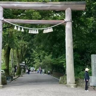 天岩戸神社 西本宮一ノ鳥居のクチコミ写真2