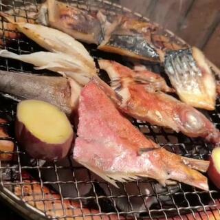 瀬戸内天然魚と漁師焼 火土木 三宮のクチコミ写真1