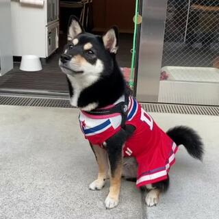 小石川大神宮のクチコミ写真2