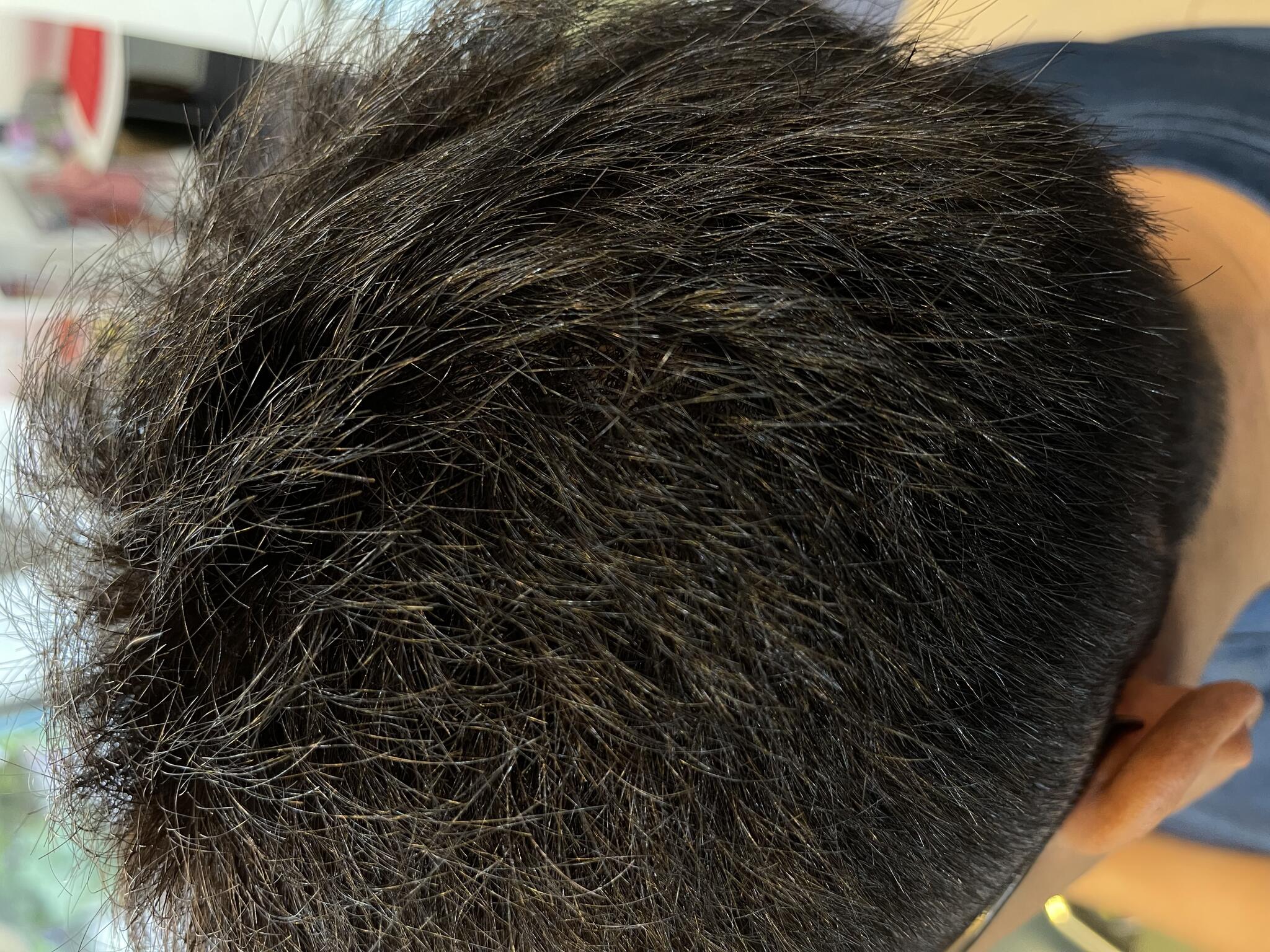HairSalon Pmine・Ratluからのお知らせ(アッシュブラックで品の良い大人髪へ)に関する写真