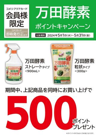 コメリハード＆グリーン下呂店のチラシ(万田酵素　ポイントキャンペーン)に関連する写真