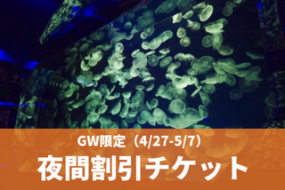 名古屋港水族館のC 名古屋港水族館　夜間割引チケット（17:00-20:00）【4/27-5/7 最大21％割引】 (価格 : 1,620円)