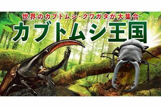 那須どうぶつ王国の夏休み企画！カブトムシ王国チケット付きプラン (価格 : 2,700円)