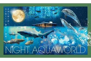 アクアワールド茨城県大洗水族館のNIGHT  AQUAWORLD (価格 : 2,300円)